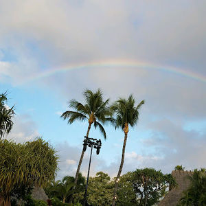 Meet your Posher, Isabella